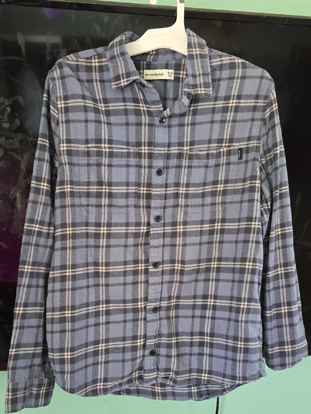 Abercrombie & Fitch Blue Plaid Button-Down Shirt